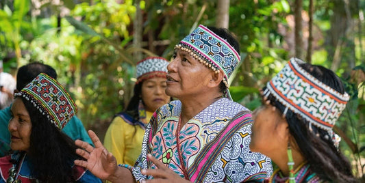 SHIPIBO HEALING WISDOM: Embracing Ancient Practices for Modern Wellness