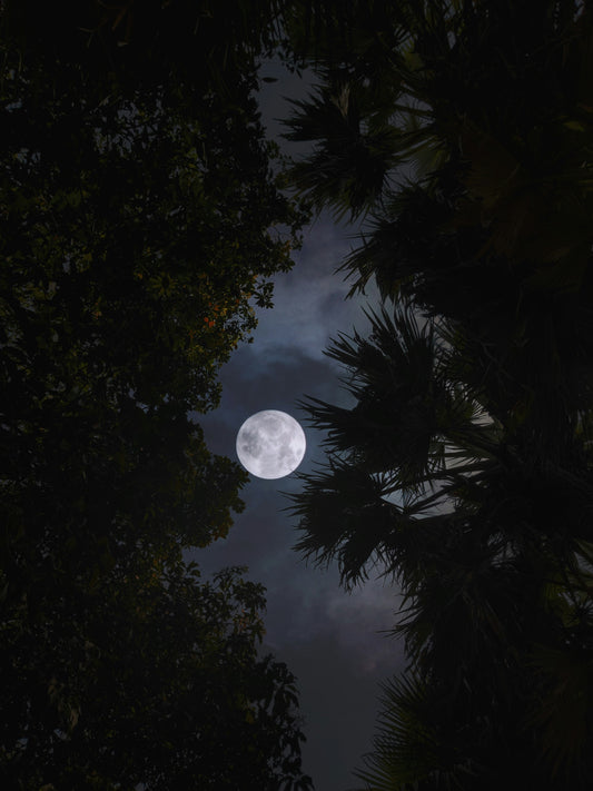 FULL MOON RITUALS: Harnessing Lunar Power with Heart-Opening Tinctures