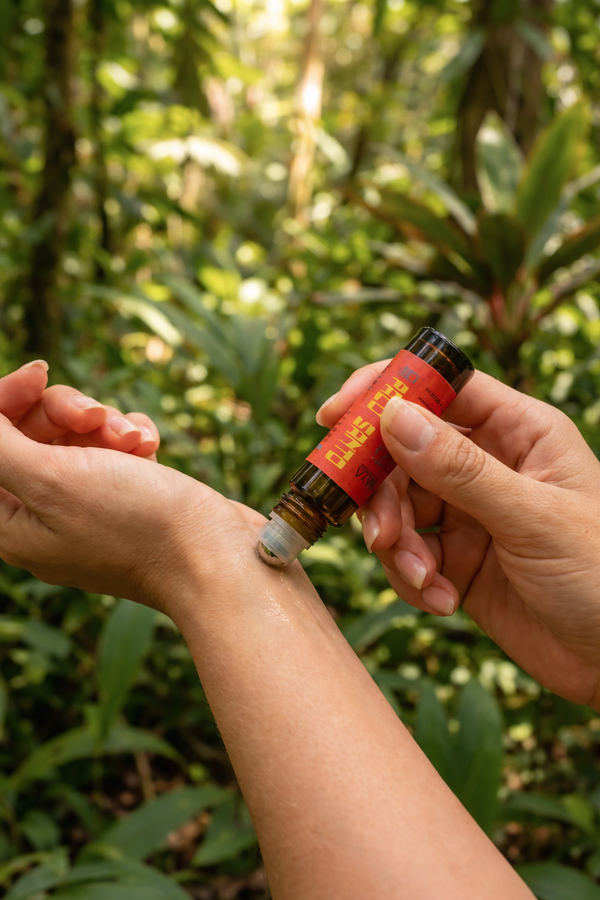 PALO SANTO Essential Oil - Ethically Wild-Collected