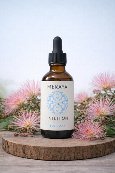 INTUITION - Tincture Bobinsana