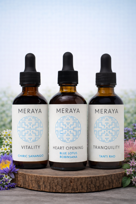 MASTER PLANTS BUNDLE | Tranquility, Heart-Opening & Vitality